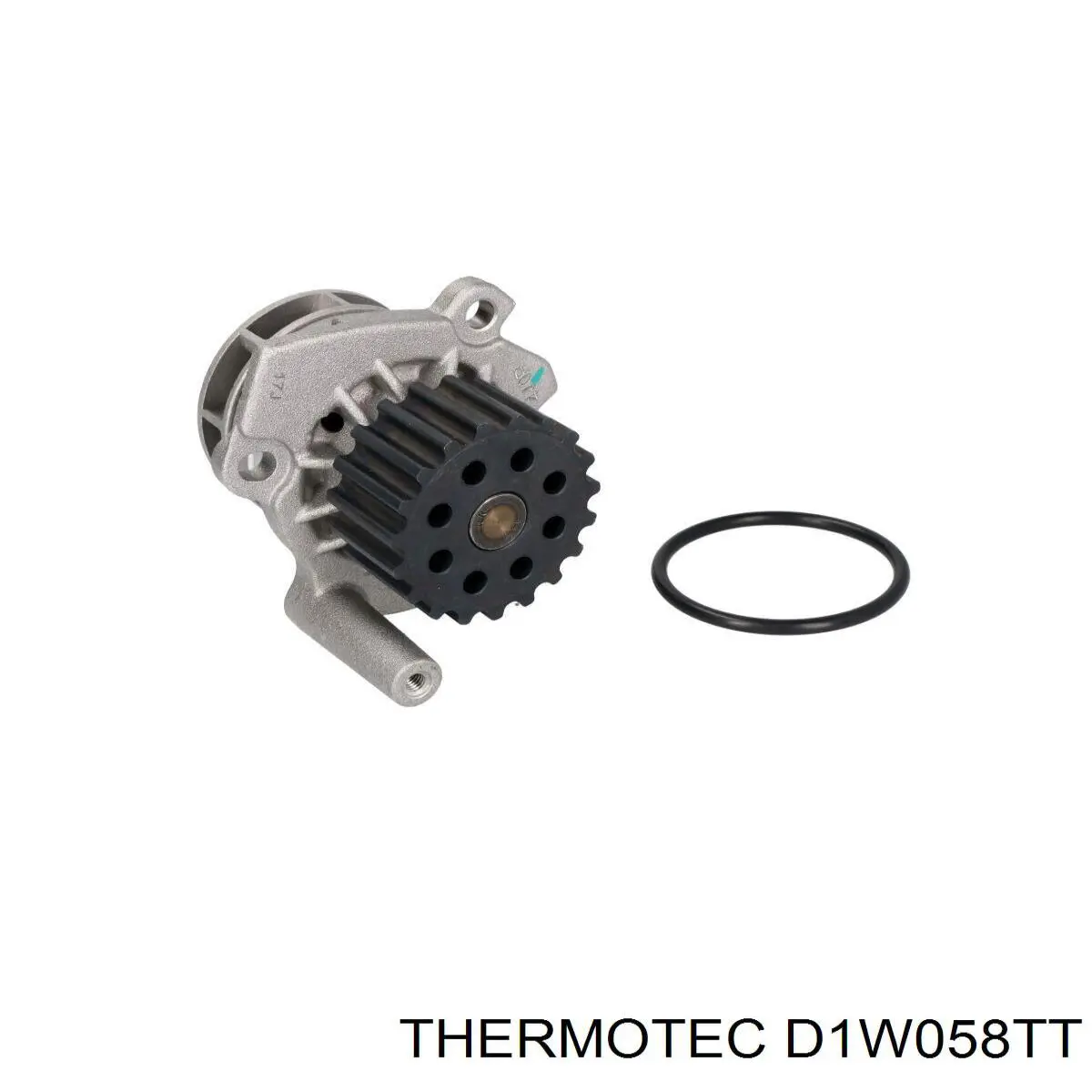 D1W058TT Thermotec bomba de agua