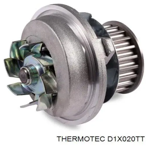 D1X020TT Thermotec bomba de agua