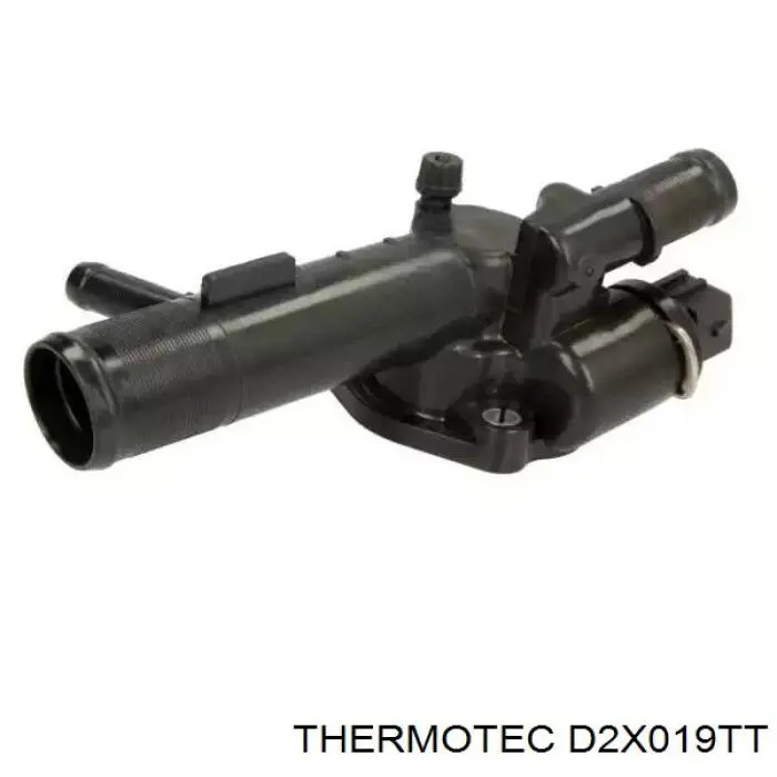 D2X019TT Thermotec termostato, refrigerante