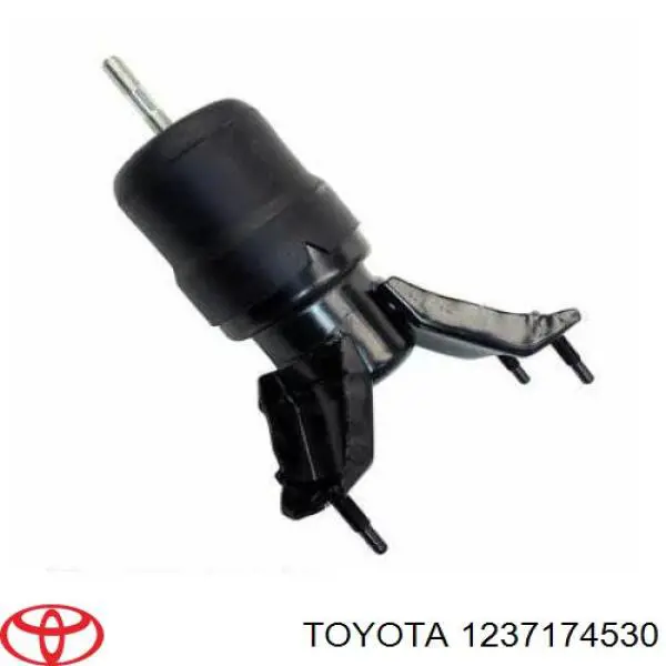 1237174530 Toyota soporte de motor trasero