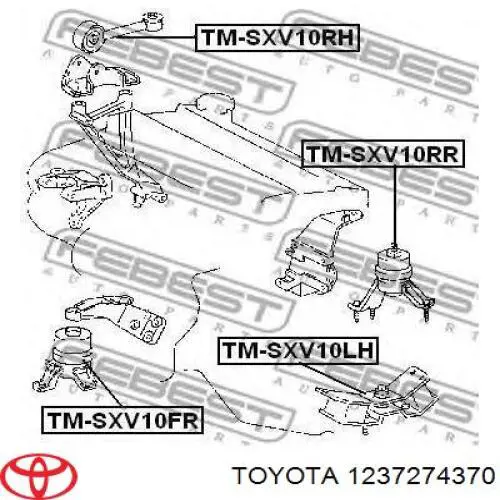  Soporte motor izquierdo para Toyota Camry V10