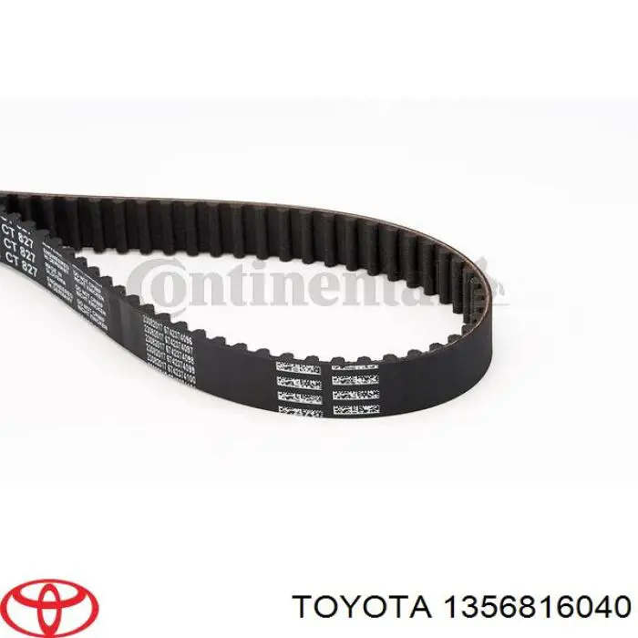 1356816040 Toyota correa distribucion