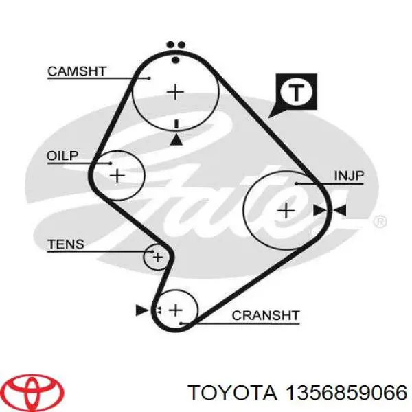 1356859066 Toyota correa distribucion