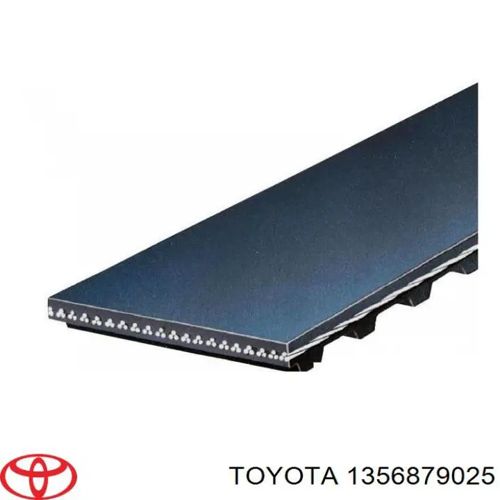 1356879025 Toyota correa distribucion