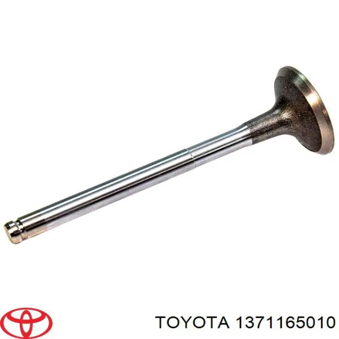 1371165010 Toyota válvula de admisión