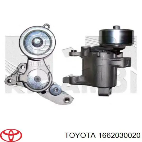 1662030020 Toyota tensor de correa, correa poli v