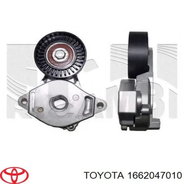 1662047010 Toyota tensor de correa, correa poli v