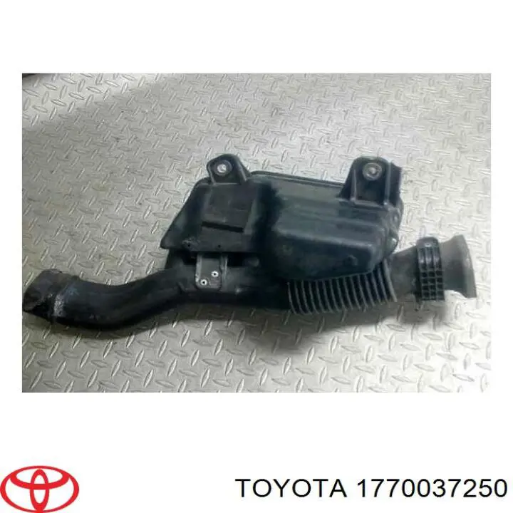 1770037252 Toyota casco de filtro de aire