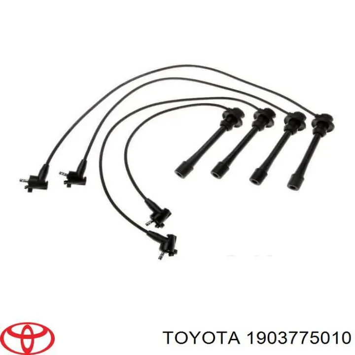 1903775010 Toyota 