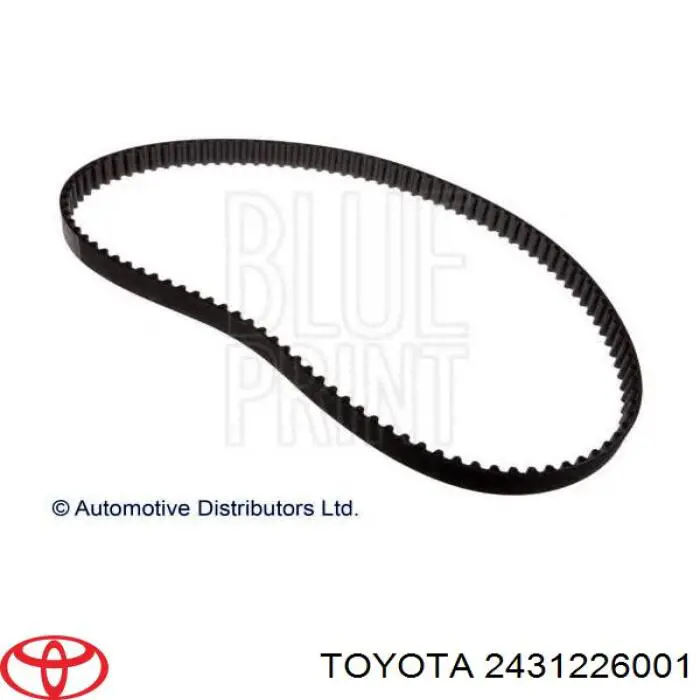 2431226001 Toyota correa distribucion