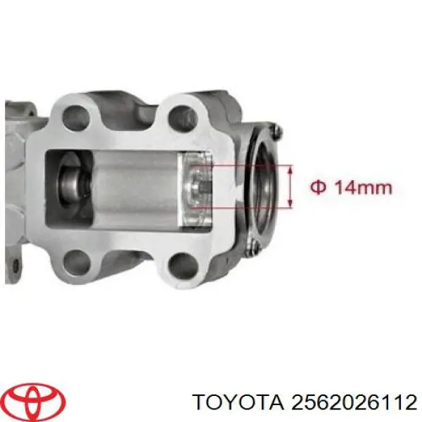 2562026112 Toyota válvula, agr