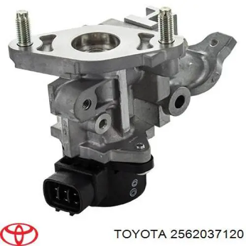 2562037120 Toyota válvula, agr