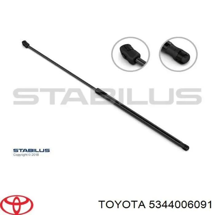 5344006091 Toyota muelle neumático, capó de motor derecho