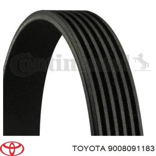 9008091183 Toyota correa trapezoidal