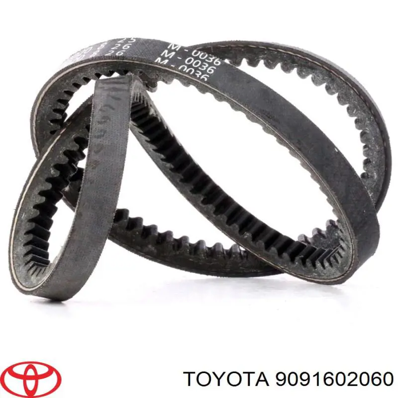 9091602060 Toyota correa trapezoidal