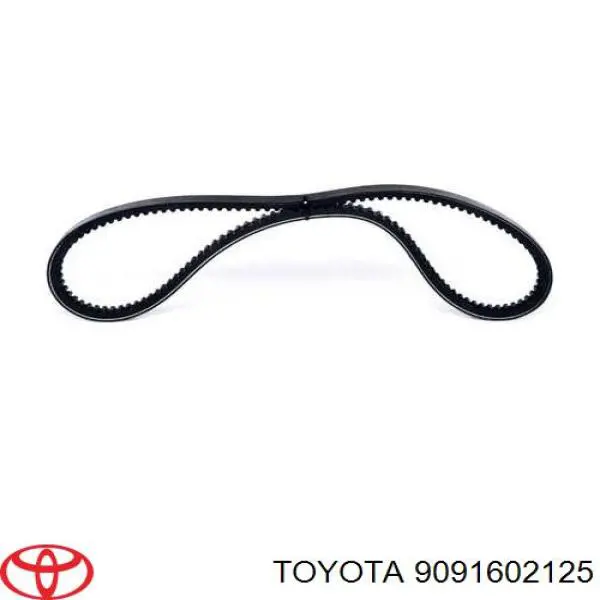 9091602125 Toyota correa trapezoidal