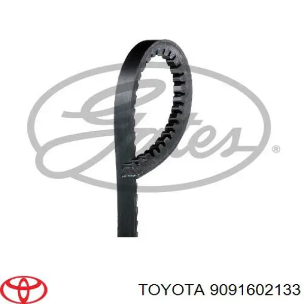 9091602133 Toyota correa trapezoidal