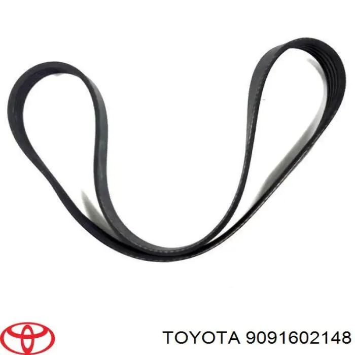 9936500830 Toyota correa trapezoidal