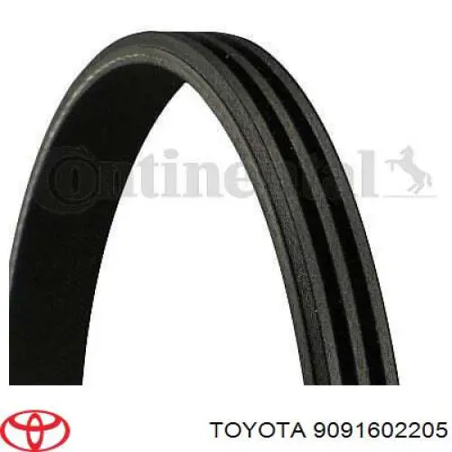 9091602205 Toyota correa trapezoidal