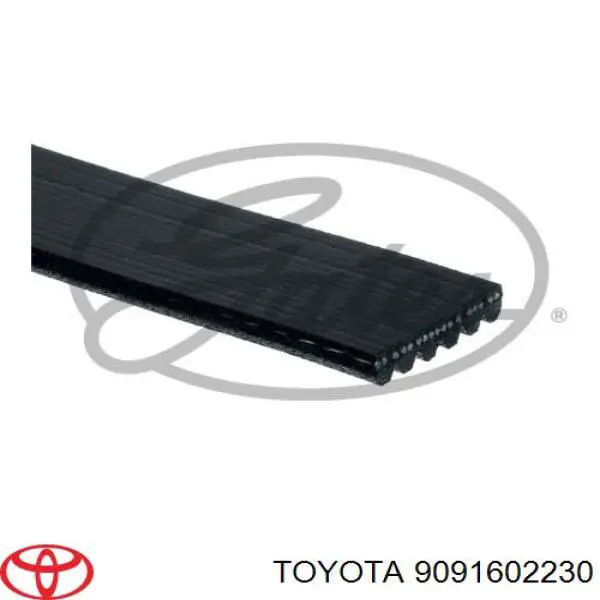 9091602230 Toyota correa trapezoidal