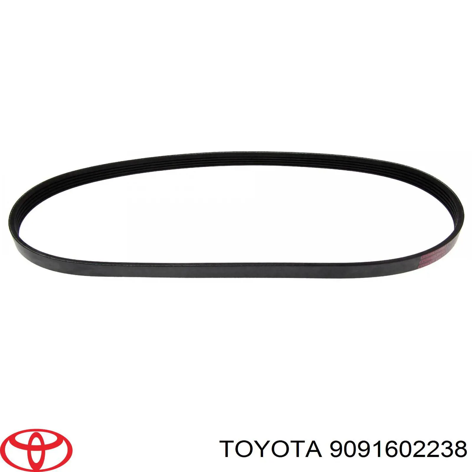 9091602238 Toyota correa trapezoidal