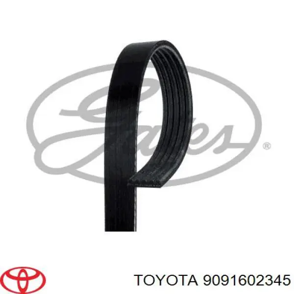 9091602345 Toyota correa trapezoidal