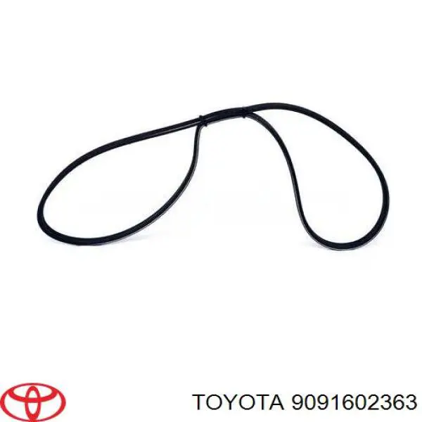 9091602363 Toyota correa trapezoidal