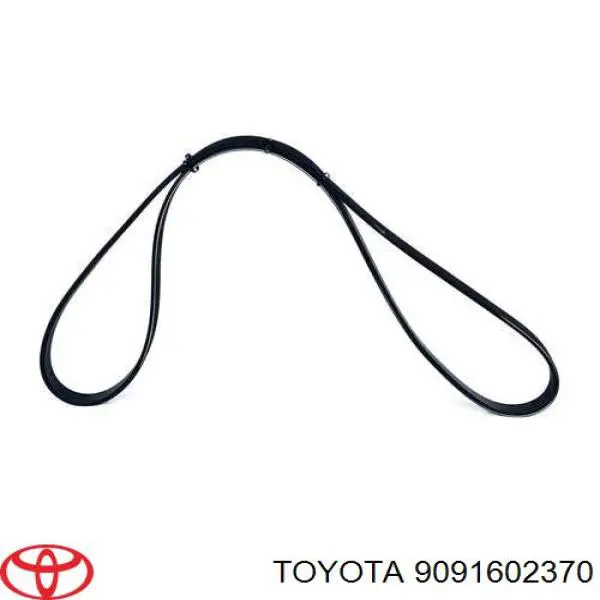 9091602370 Toyota correa trapezoidal