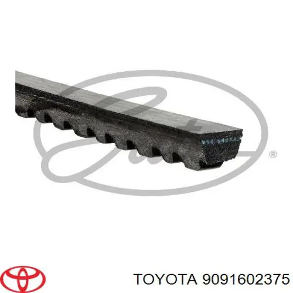 9091602375 Toyota correa trapezoidal