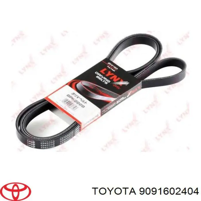 9091602404 Toyota correa trapezoidal