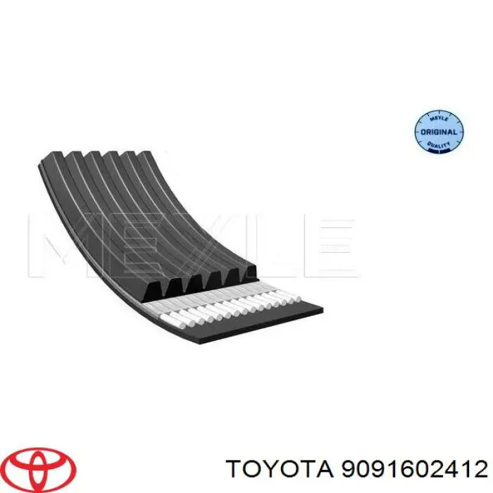 9091602412 Toyota correa trapezoidal