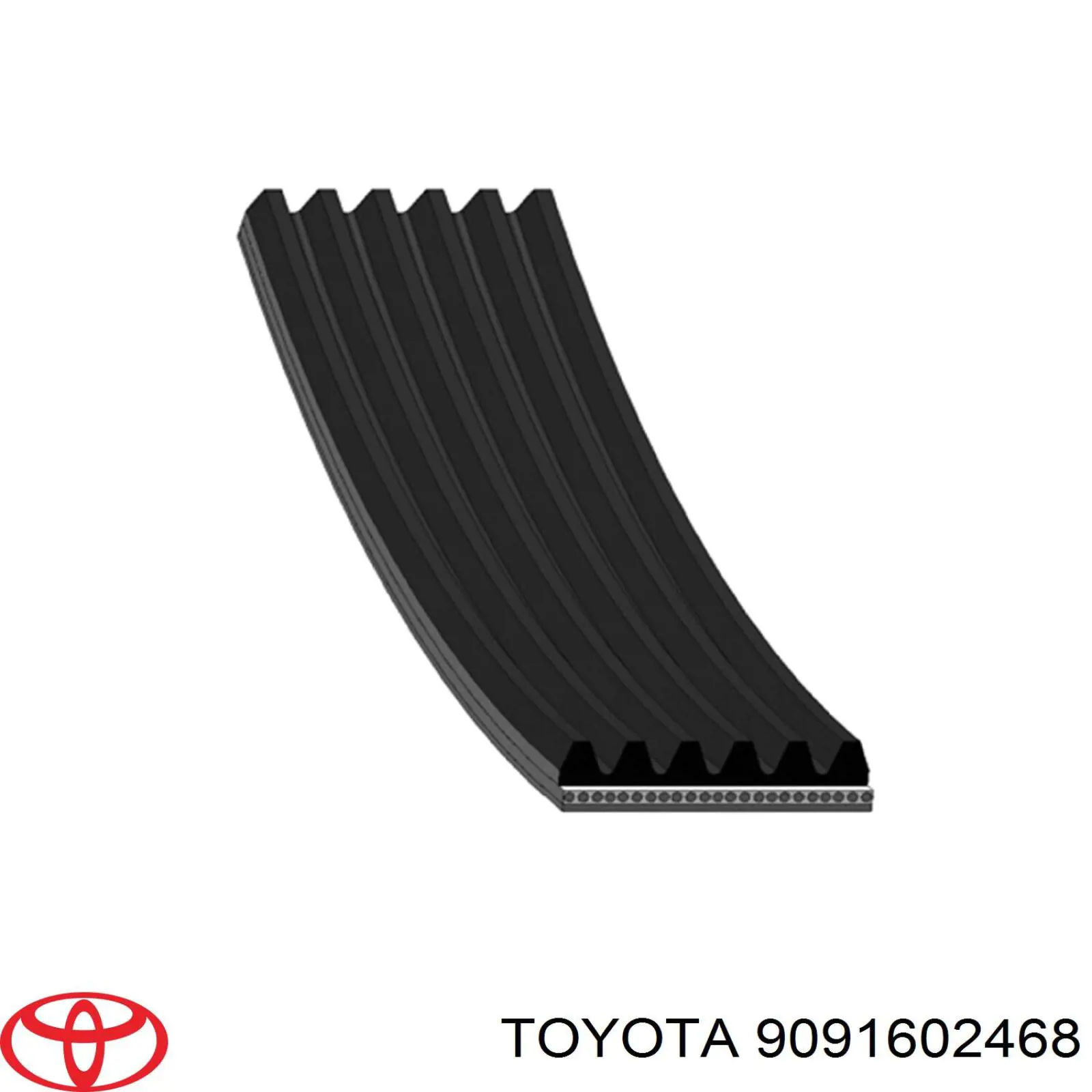 9091602468 Toyota correa trapezoidal