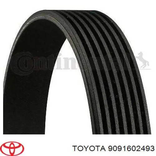 9091602493 Toyota correa trapezoidal