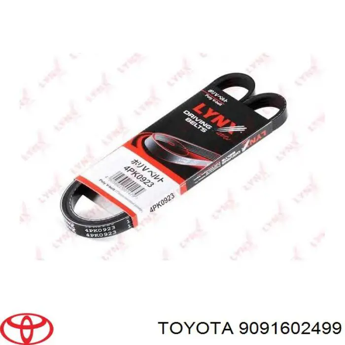 9091602499 Toyota correa trapezoidal