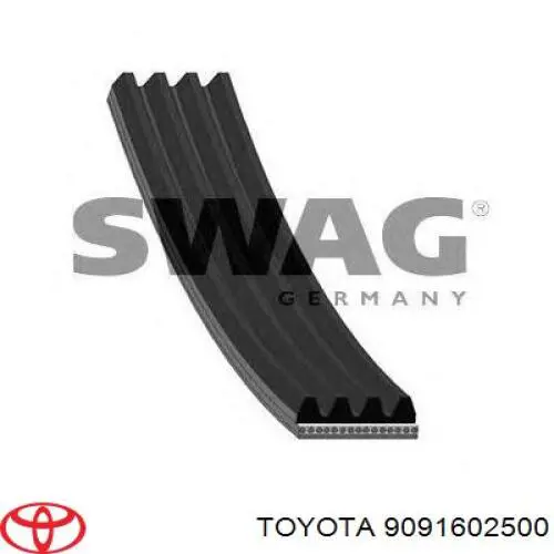 9091602500 Toyota correa trapezoidal