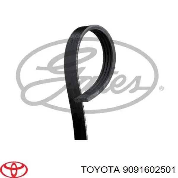 9091602501 Toyota correa trapezoidal