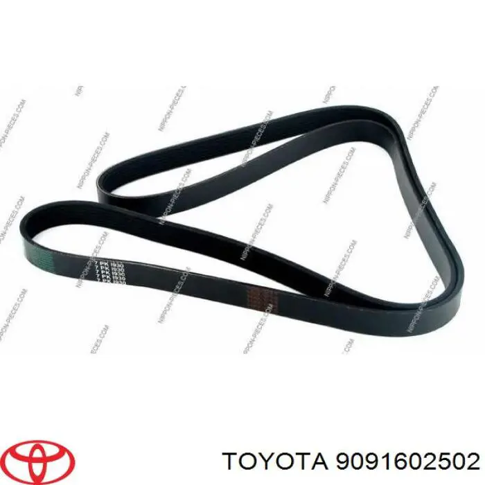 9091602502 Toyota correa trapezoidal