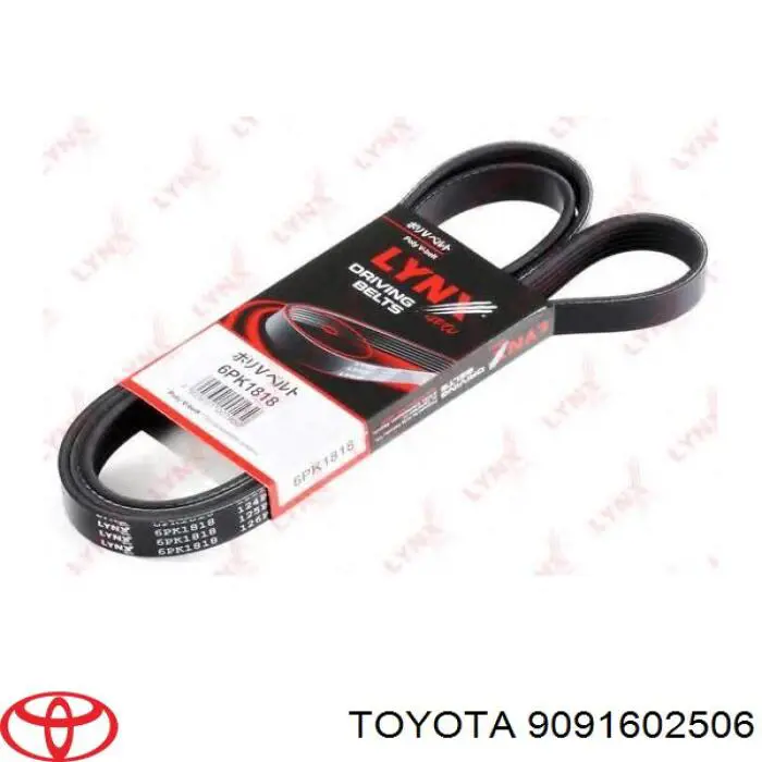 9091602506 Toyota correa trapezoidal