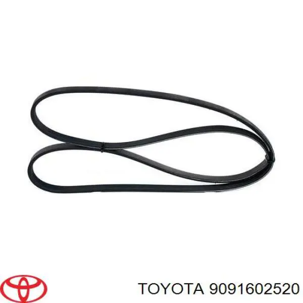 9091602520 Toyota correa trapezoidal