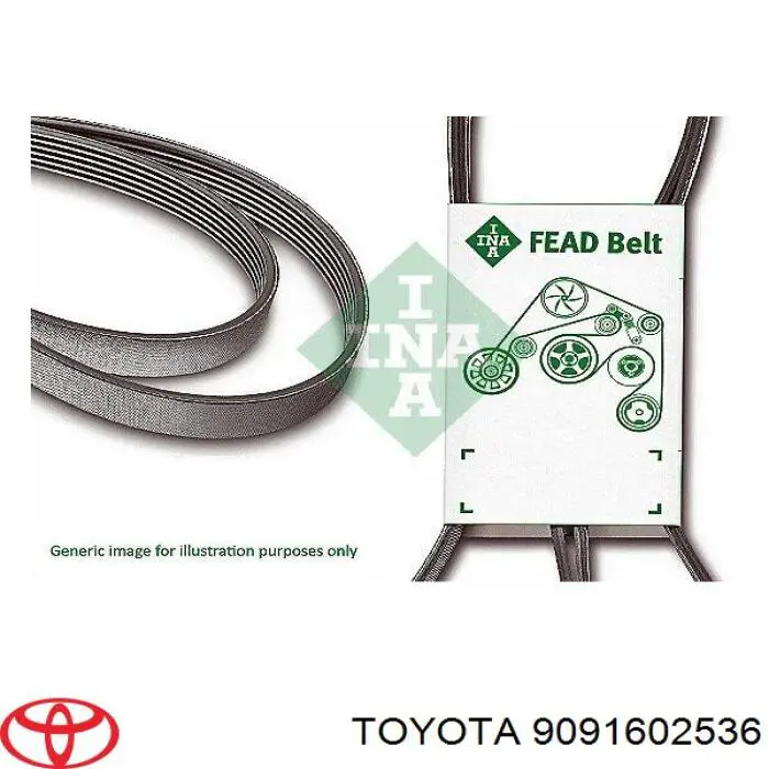 9091602536 Toyota correa trapezoidal