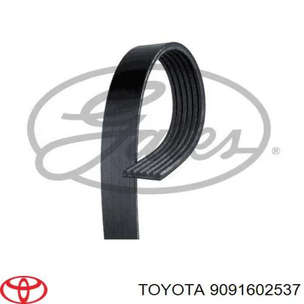 9091602537 Toyota correa trapezoidal