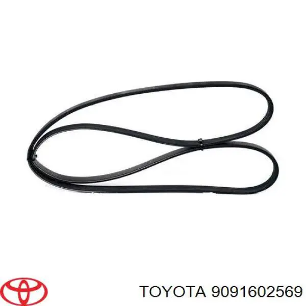 9091602569 Toyota correa trapezoidal