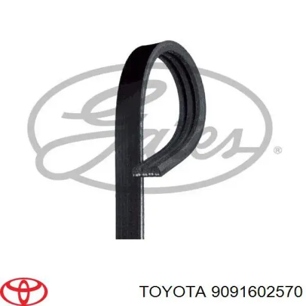 9091602570 Toyota correa trapezoidal