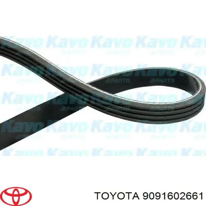 9091602661 Toyota correa trapezoidal