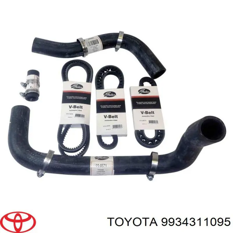 9934311095 Toyota correa trapezoidal