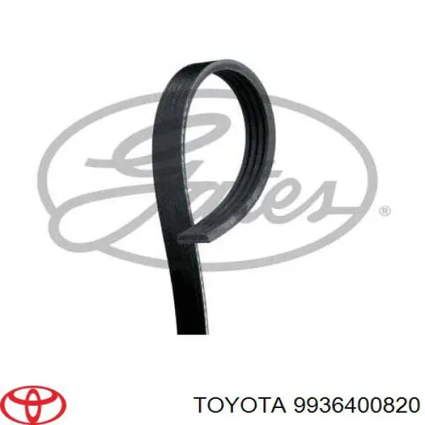 9936400820 Toyota correa trapezoidal