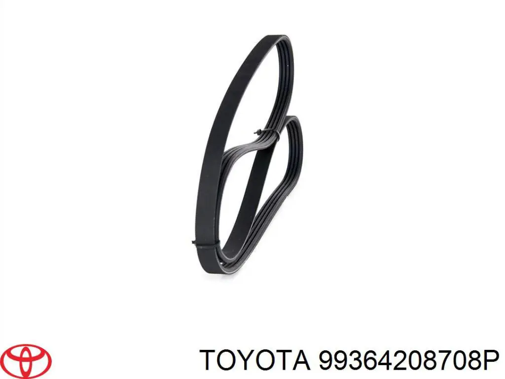 99364208708P Toyota correa trapezoidal