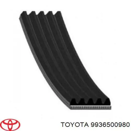 9936500980 Toyota correa trapezoidal