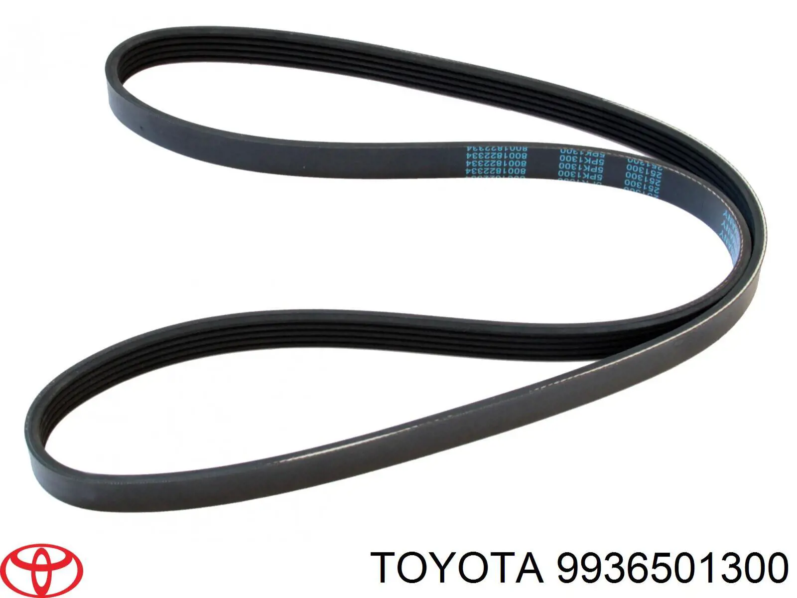 9936501300 Toyota correa trapezoidal