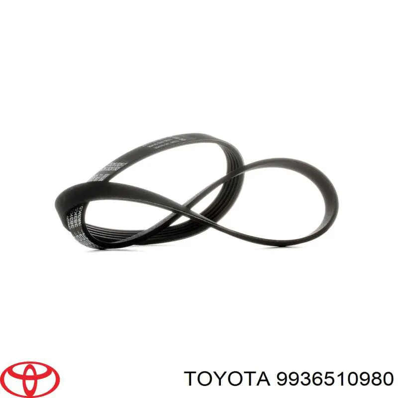 9936510980 Toyota correa trapezoidal